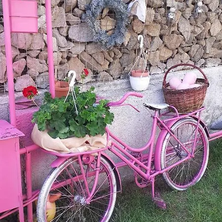Casa Denis Holiday home Turda
