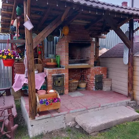 Casa Denis Holiday home Turda